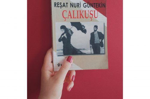 Reşat Nuri Güntekin - Çalıkuşu