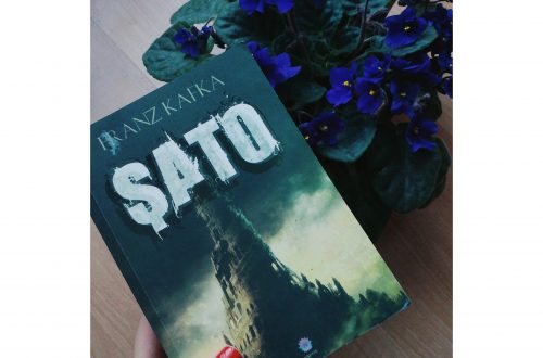 Franz Kafka - Şato