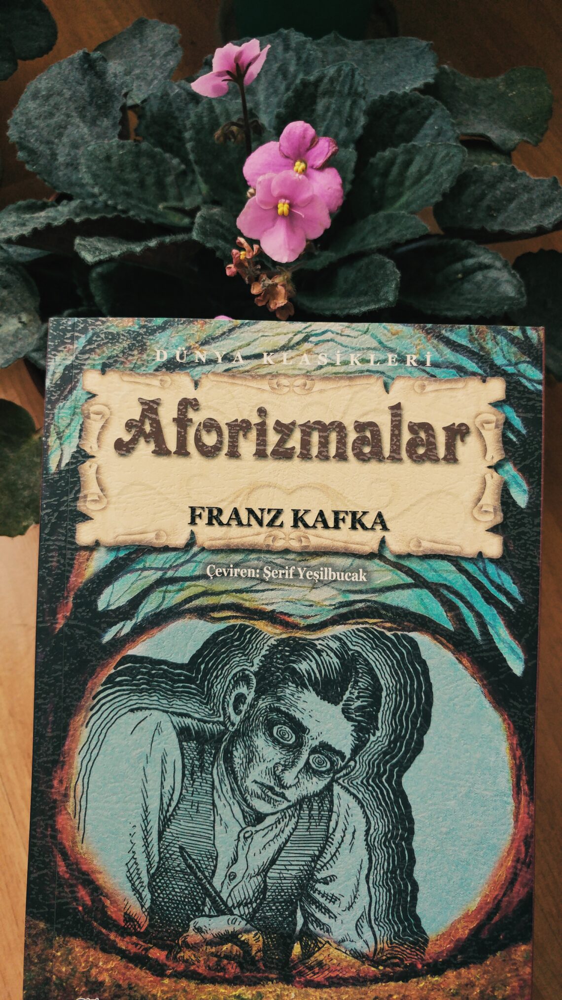 Aforizmalar