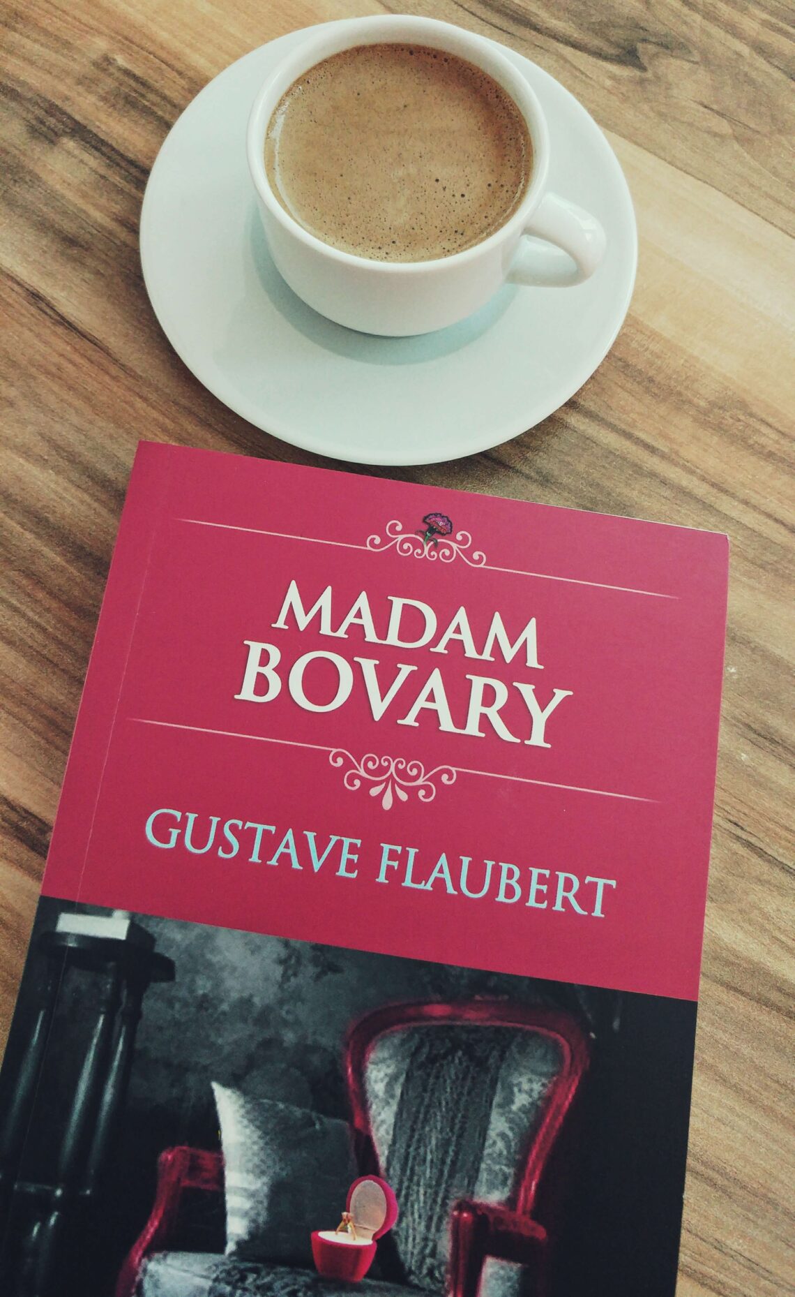 Gustave Flaubert Madam Bovary
