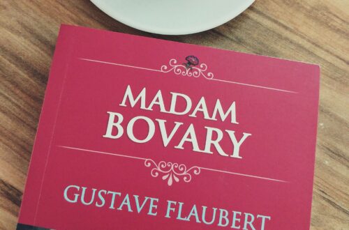 Gustave Flaubert Madam Bovary