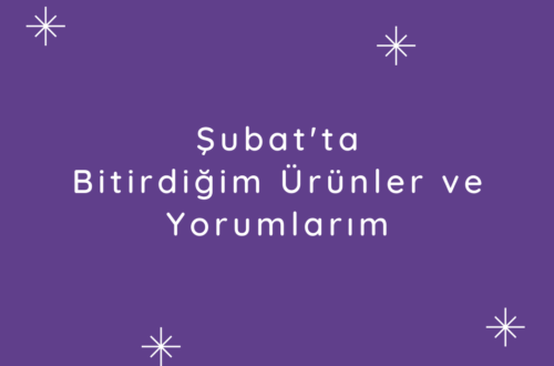 şubat ayında bitirdiklerim