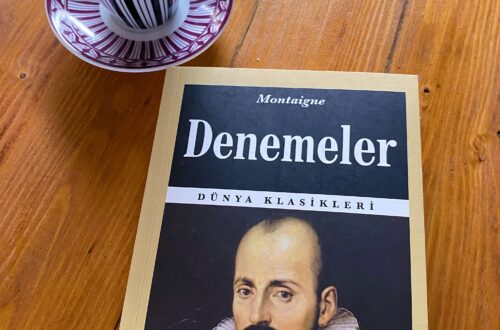 denemeler