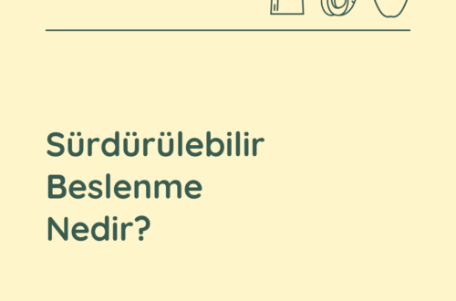 sürdürülebilir beslenme