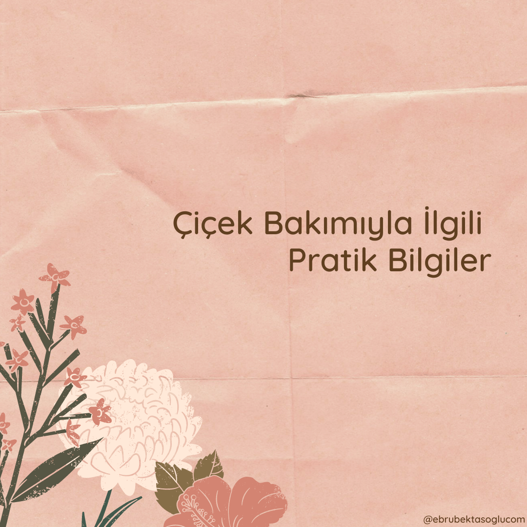 çiçek bakımı